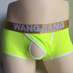 WJ Mens Low Rise sheer see Boxer Shorts Men's Sexy Underwear Nylon Boxers Breathable Holes Male Panties Trun - Motolayo