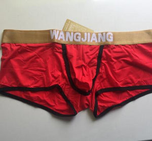 WJ Mens Low Rise sheer see Boxer Shorts Men's Sexy Underwear Nylon Boxers Breathable Holes Male Panties Trun - Motolayo